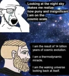 db4b248e-6027-4638-849a-59890c34073a