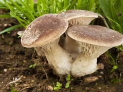 00679392-f8ac-4c31-99cc-e60dbcb29029