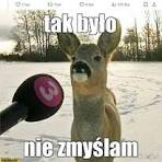 8e976842-ace1-4452-9a22-a92d3f4b3228