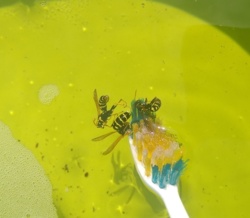 eeea86c6-7b79-451a-8dc2-81607b49e18b