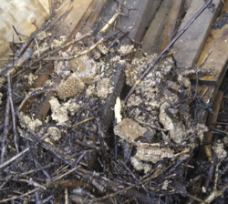 8beb93fb-bb5c-42ae-9911-f3a4c1149e2a