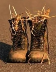 fbcfd0fd-ba8e-4061-868f-9c3bb08804ca