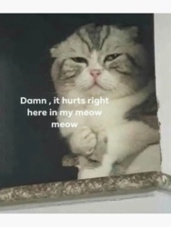 002df217-ad13-41af-b1c2-d758416216d1