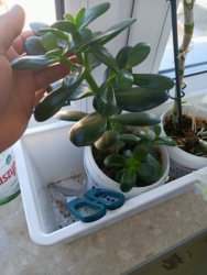 dde35c1f-cca1-4e84-a9c9-6a858dc61a61