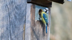 650802c1-33ea-4eb0-955e-70762de2d8ba