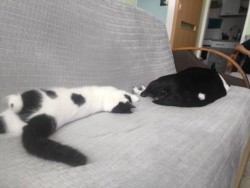 11a4b9ae-d71b-4915-8ddb-86517d84adff