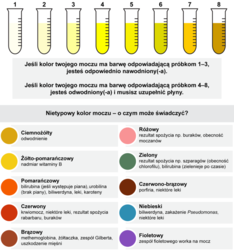 89432e0e-b8c2-4ec3-9778-9270a2dc6573