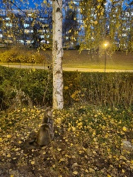 e72bfbed-3da2-4e3f-a3c1-45c7e4004e9a