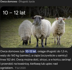 2cff67b2-b4d6-454c-a5ff-d4901f286204