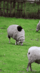 9a7a560d-e4f0-4b72-be8c-3a977ee54a7b