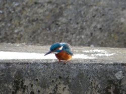 5a1a5d34-c894-4a7c-af65-d60ac1f9c955