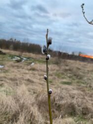 65d9c6d0-b337-48be-a0eb-db1a134a4ecc