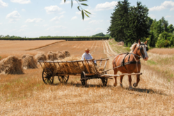 1a5ff438-c3ed-4455-89df-4b7c8e35f227