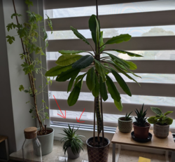 16346149-2636-4b78-bbb6-b752ba3b3b30