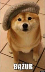 d2150f02-6fc7-477f-bd22-239b1ce48e5c