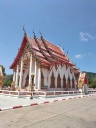 b02d11c5-a985-4053-b914-eac2ee026436