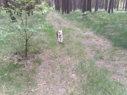 5ac14e73-5b38-403d-a3eb-ba8585579611