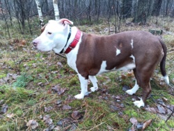 c8ccff34-5e96-4323-baa2-7806eac0d3ba