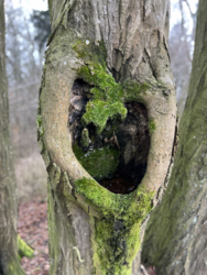 cebf036b-6c06-49d6-b201-478850776929