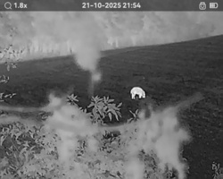 6f4a31c7-e9de-4904-9504-c9021b809323