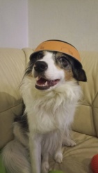 69e47c1f-599e-401f-95fa-fd84f05100e9