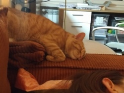 26ac8277-c7c2-4a12-b88a-444269e0f5f7