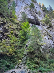 bf90c8af-6460-4f3c-838c-049d2610b240