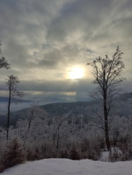 856b6e1e-74f9-43fb-92a7-2fc9acedb99d