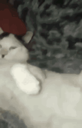 6f9f44cb-ac67-4f4c-8a38-9ac472a81ea2