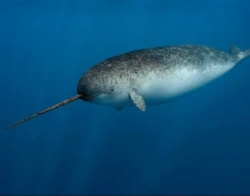 d9334042-9b64-4b0c-a8d0-d68faf3cfd8e