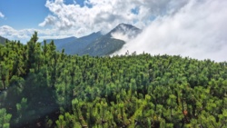 a214df77-6186-415f-982b-143d7d1deeeb