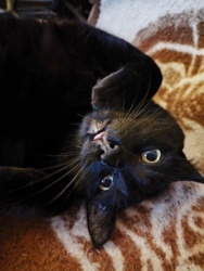 b91aa37c-562e-4253-8d7a-c6b68f4dab6d