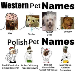 de45150d-fd82-4d2b-98e4-c90a943972f6