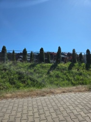 c49ba11f-6d39-48d5-88b5-e6f06a5e249c