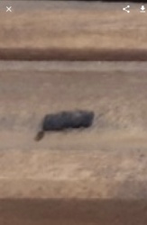 c3858b14-5459-4a10-b31a-2fc68c4a7f3a