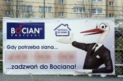 ed25f58a-97bd-47bb-b6a2-f2ec85d62530