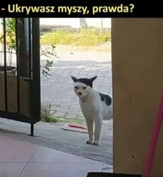 7baebbf7-0ab4-4426-9601-e710143923d7