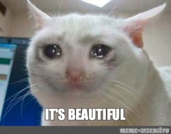 fef2dcf8-721e-44be-a213-2348aef44104