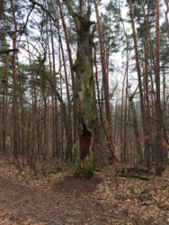 2748dfd2-6f92-4a44-a65d-7dc4504cda9f