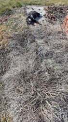 91857eef-e12d-4bcb-a1c9-21e6961d41d7