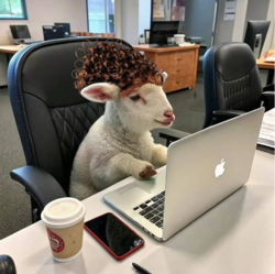 ce7acb88-47a9-4037-b4cb-ddb3450c1641