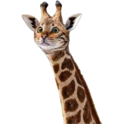 3df3f4ac-8c74-48ef-96a3-d1ceed932642