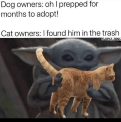 4f10172f-13de-474f-819a-d5f1cff450e8