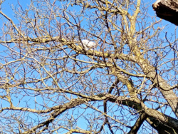 a42e54a3-6e73-4af3-8fa1-7193132f29c7