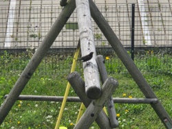 5cf7e9a7-a70a-42a1-8de9-5b566e1a4120