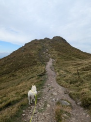 b8a89080-83f2-4fa3-a586-76bae48feeb6