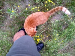 79d86abe-5651-4f25-918e-5cd2414617cd