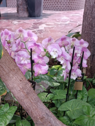 311684c1-d7e3-45b1-8fe8-facade7e35ad