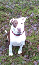 0ae600c7-34b7-4c54-9073-3853bb383cb3