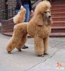 1761539d-206f-4d7e-9ce4-f6c7cebdf8bd